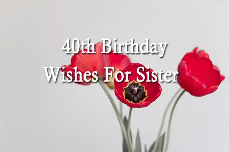 40th Birthday Wishes For Sister