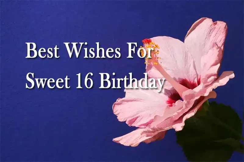 Best Wishes For Sweet 16 Birthday