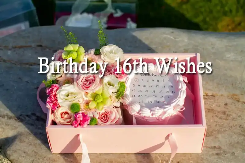 Birthday 16th Wishes
