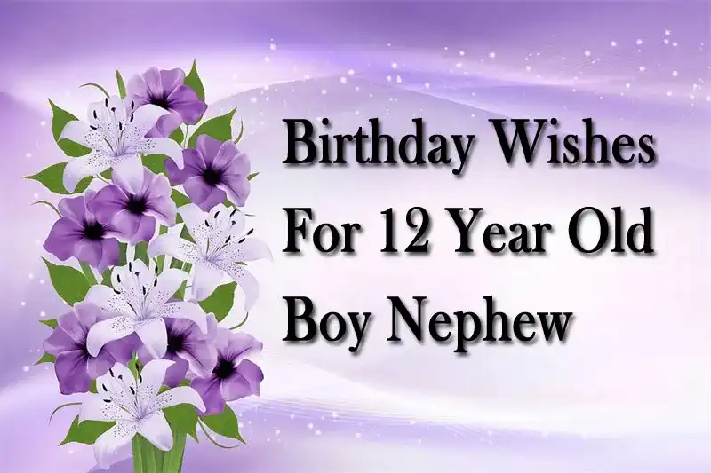 Birthday Wishes For 12 Year Old Boy Nephew