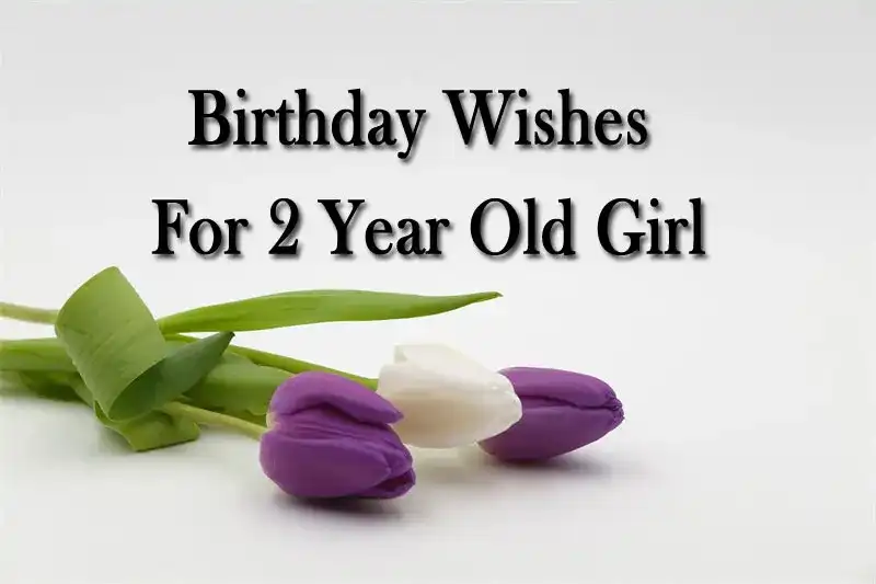 Birthday Wishes For 2 Year Old Girl