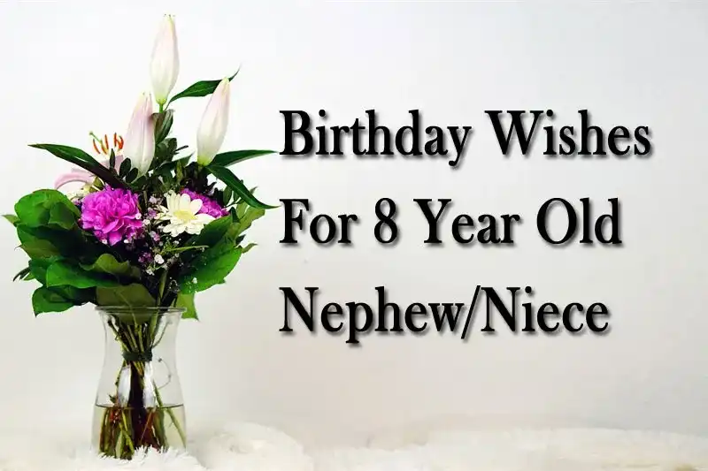 Birthday Wishes For 8 Year Old Nephew/Niece
