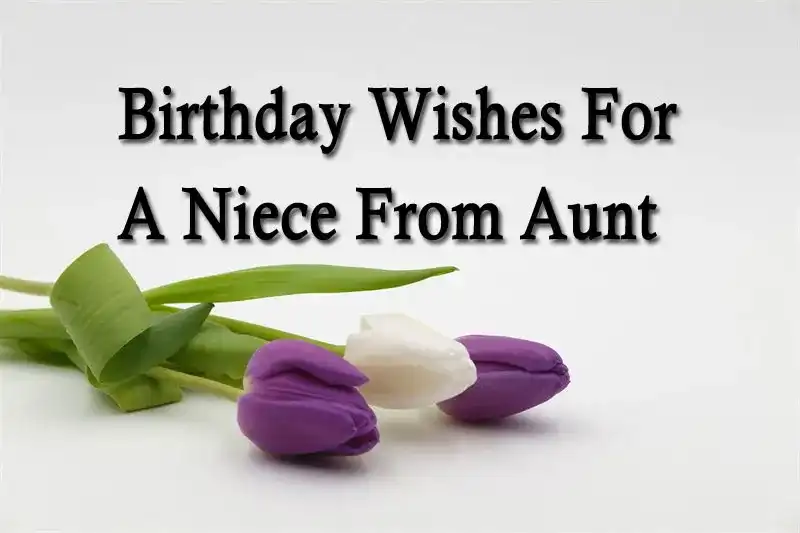 Birthday Wishes For A Niece From Aunt