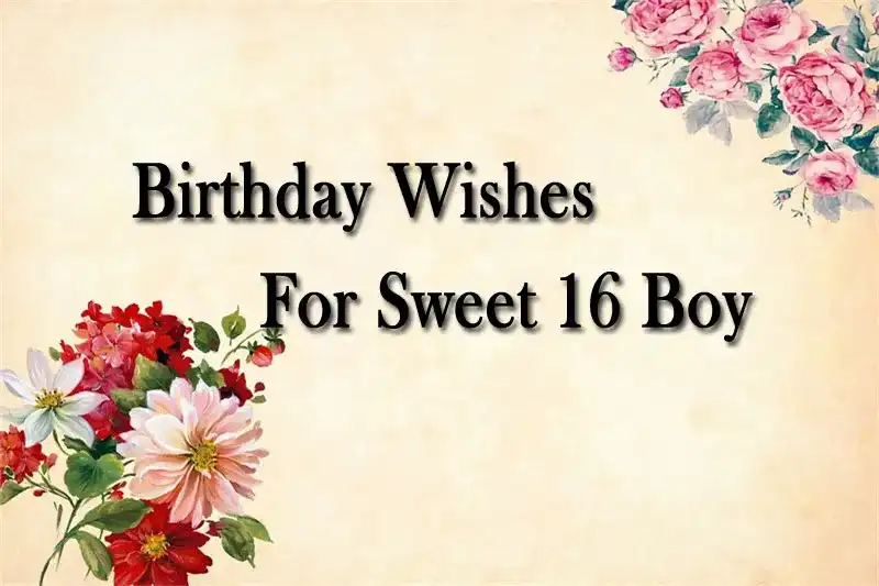 Birthday Wishes For Sweet 16 Boy