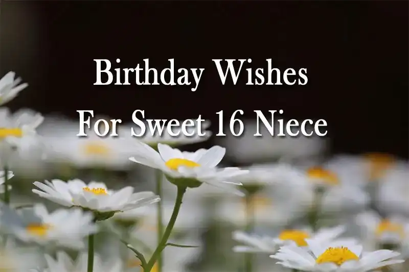 Birthday Wishes For Sweet 16 Niece