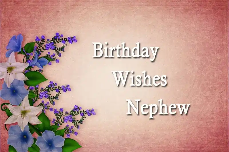 Birthday Wishes Nephew