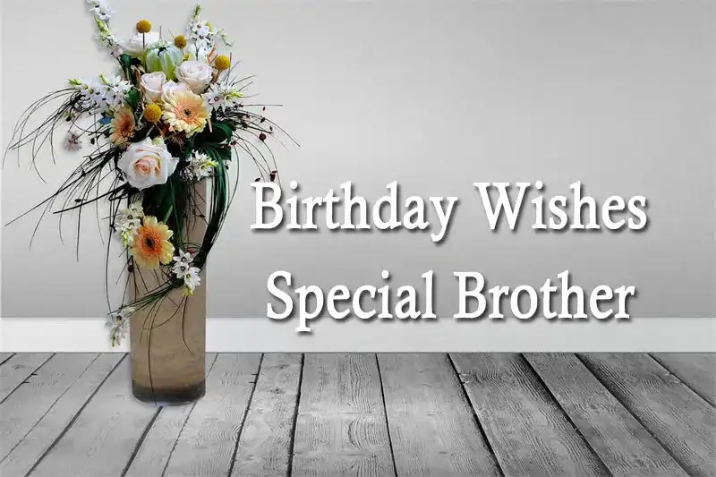 Birthday Wishes Special Brother