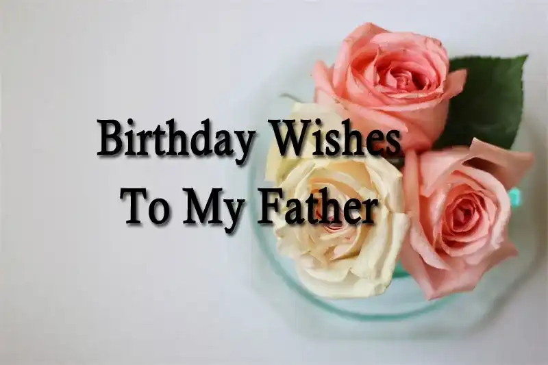 Birthday Wishes To My Father