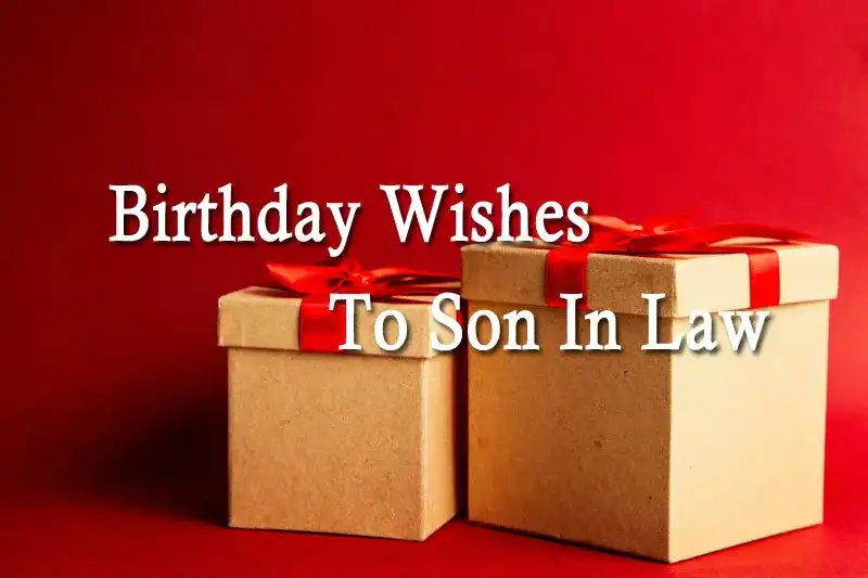 Birthday Wishes To Son In Law