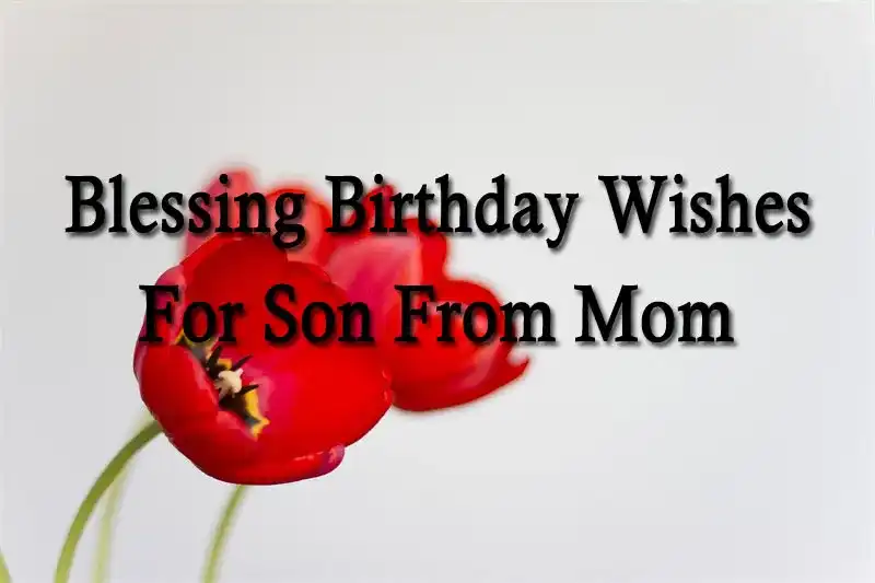 Blessing Birthday Wishes For Son From Mom