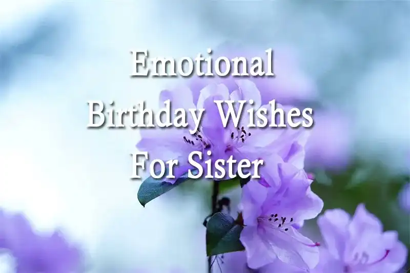 Emotional Birthday Wishes For Sister