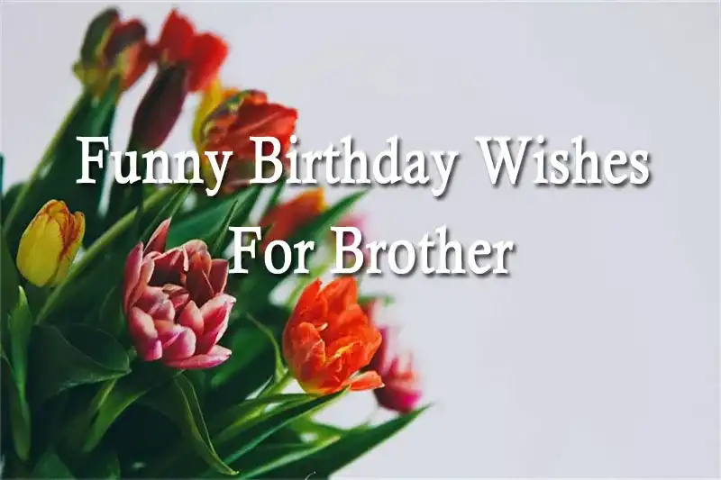 Funny Birthday Wishes For Brother