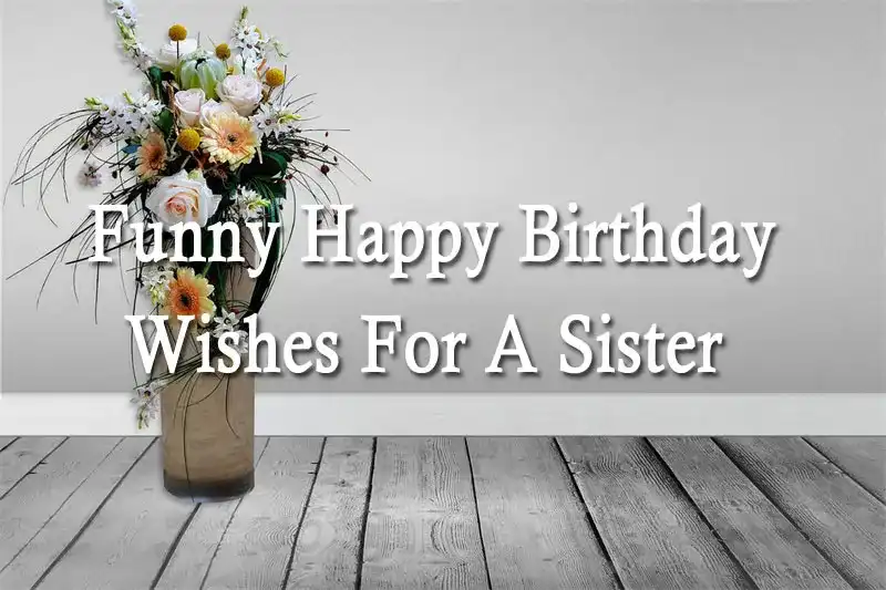 Funny Happy Birthday Wishes For A Sister