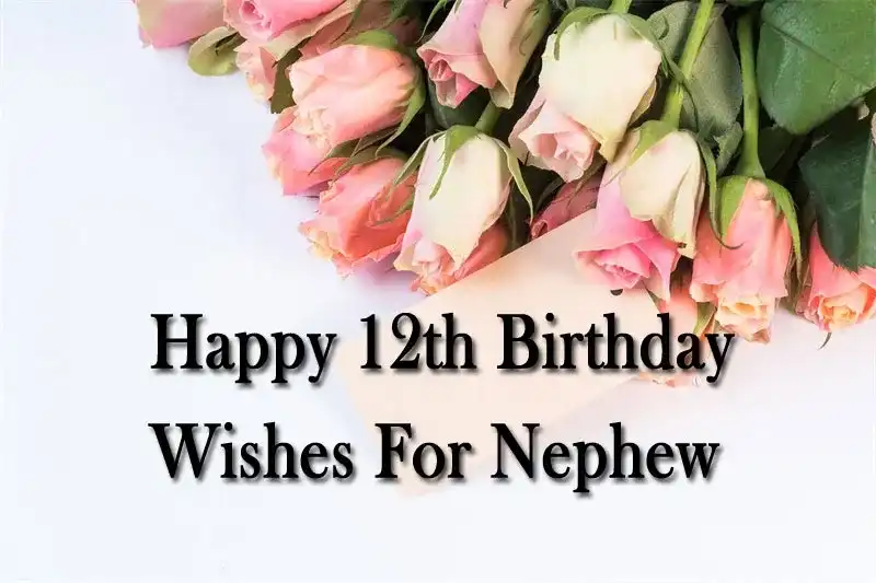 Happy 12th Birthday Wishes For Nephew