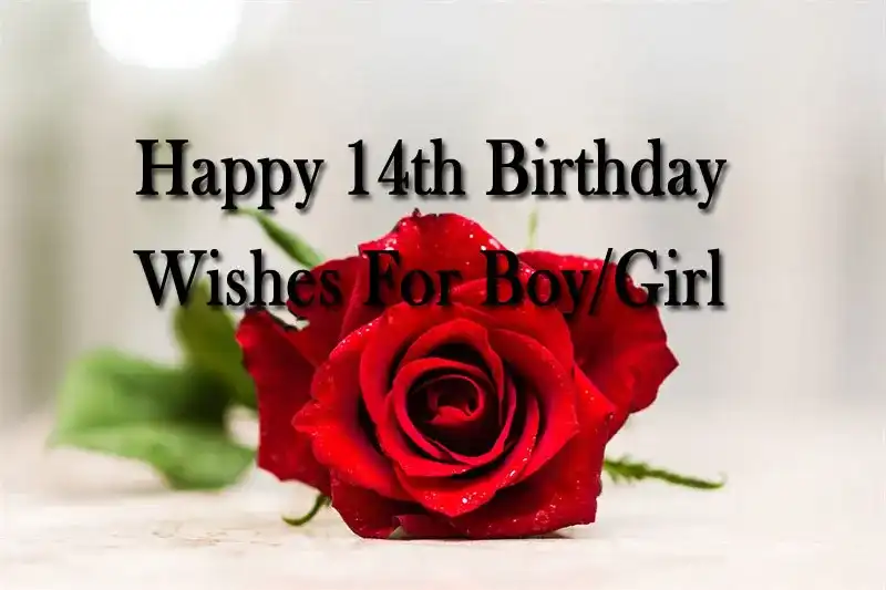Happy 14th Birthday Wishes For Boy/Girl