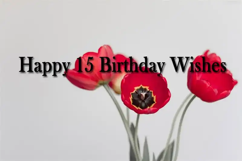 Happy 15 Birthday Wishes