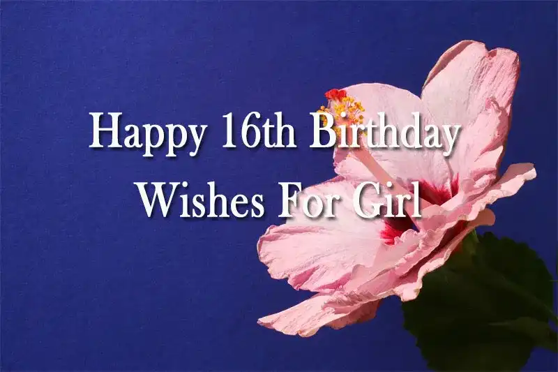 Happy 16th Birthday Wishes For Girl