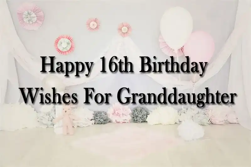 Happy 16th Birthday Wishes For Granddaughter