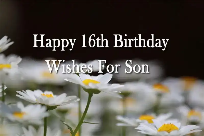 Happy 16th Birthday Wishes For Son