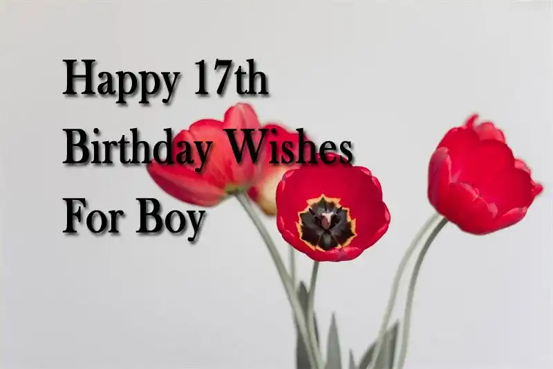 Happy 17th Birthday Wishes For Boy
