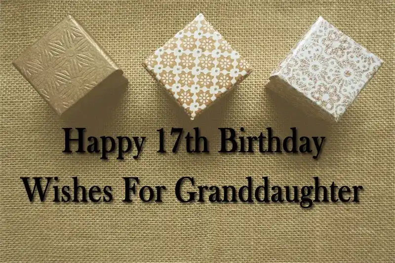 Happy 17th Birthday Wishes For Granddaughter
