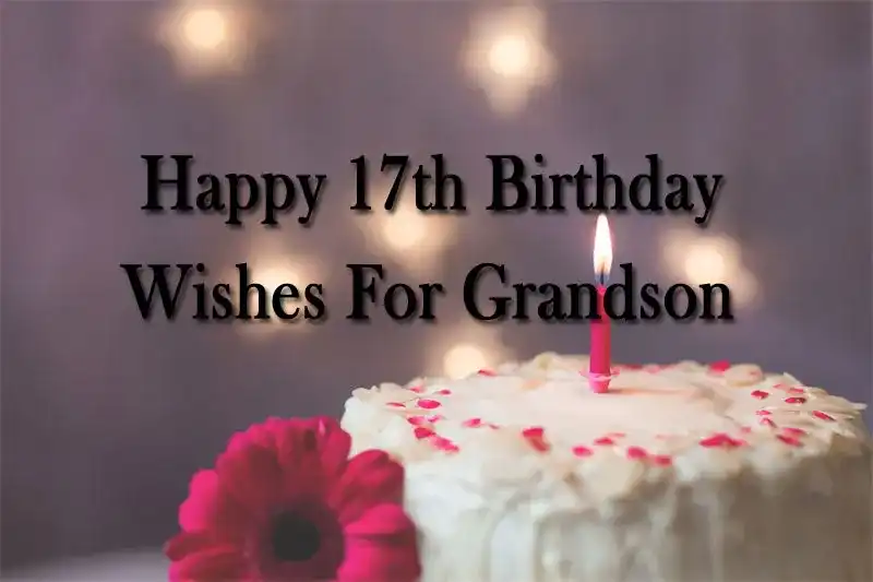 Happy 17th Birthday Wishes For Grandson