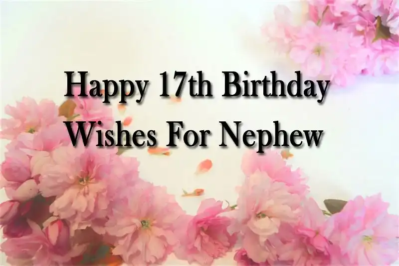 Happy 17th Birthday Wishes For Nephew