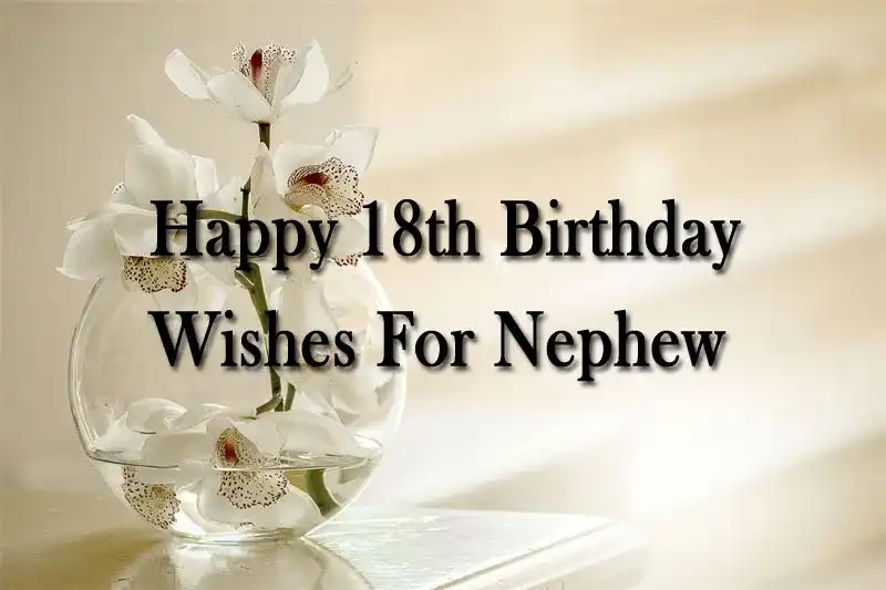 Happy 18th Birthday Wishes For Nephew