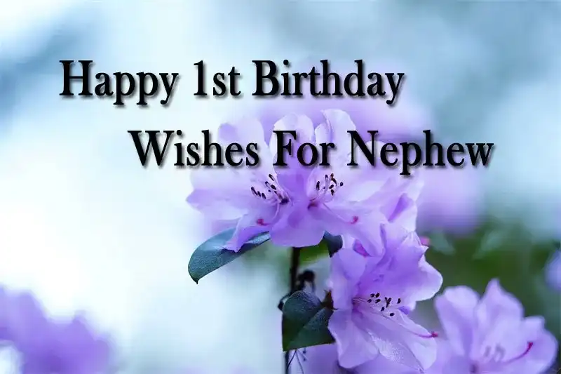 Happy 1st Birthday Wishes For Nephew