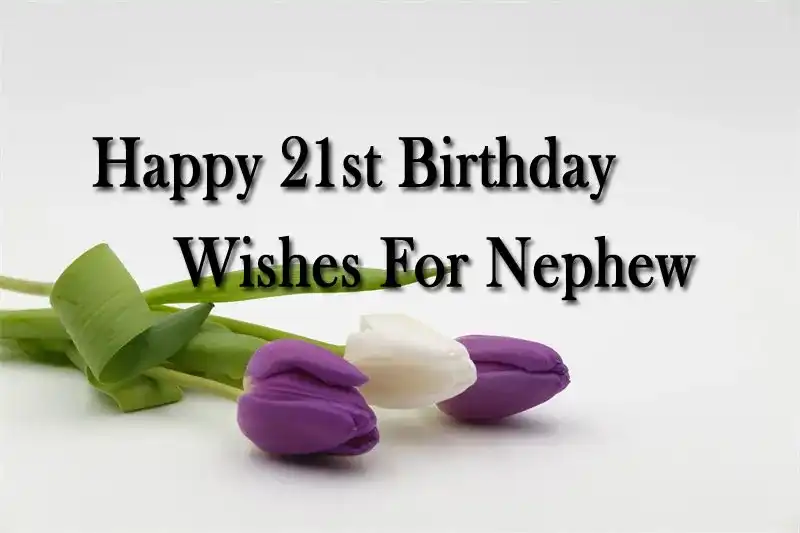 Happy 21st Birthday Wishes For Nephew