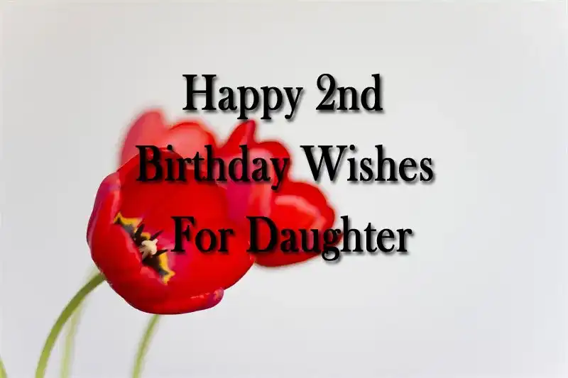 Happy 2nd Birthday Wishes For Daughter