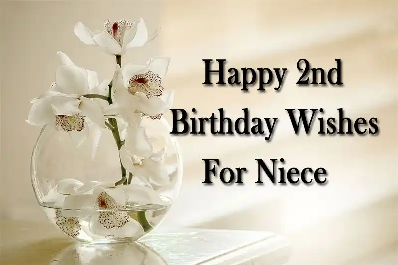 Happy 2nd Birthday Wishes For Niece
