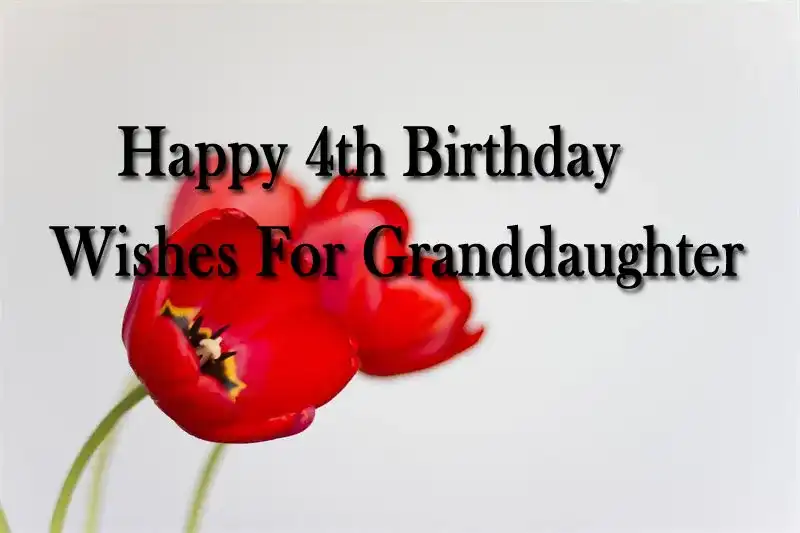 Happy 4th Birthday Wishes For Granddaughter