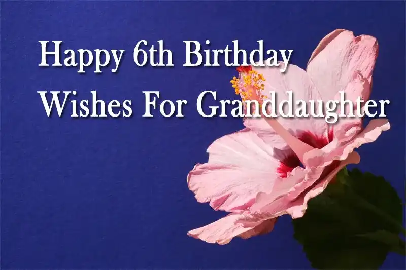Happy 6th Birthday Wishes For Granddaughter