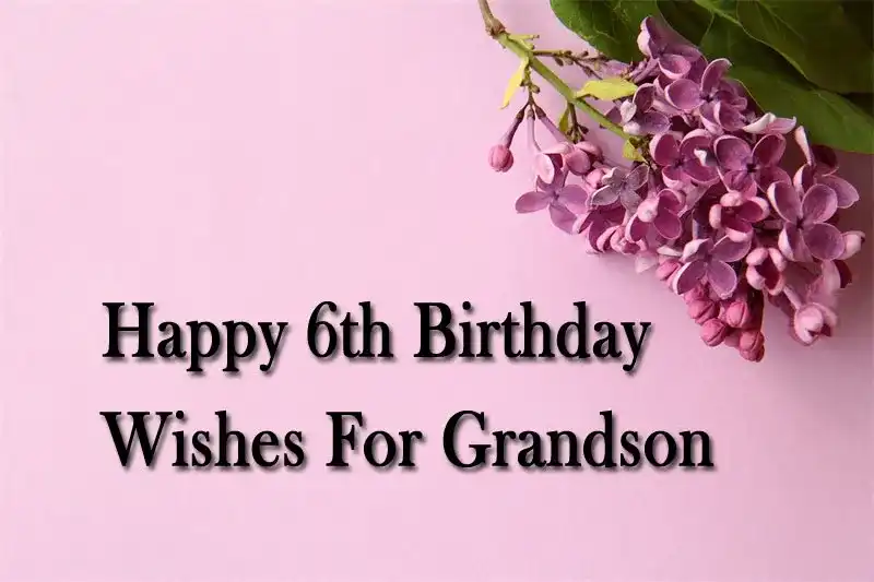 Happy 6th Birthday Wishes For Grandson