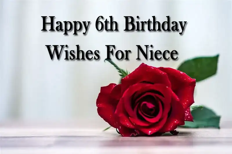 Happy 6th Birthday Wishes For Niece