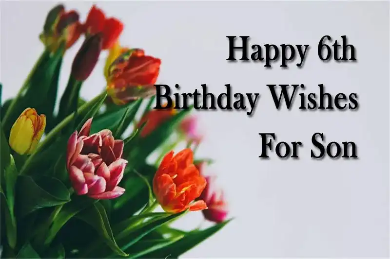 Happy 6th Birthday Wishes For Son