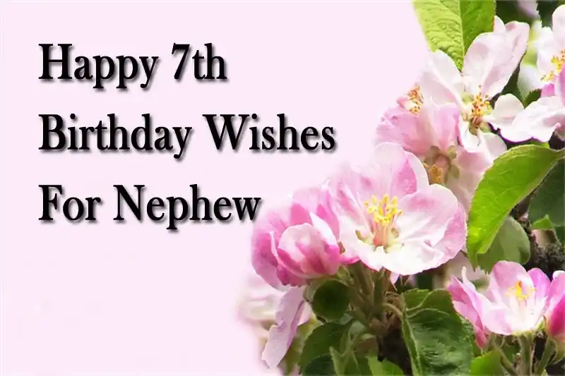Happy 7th Birthday Wishes For Nephew
