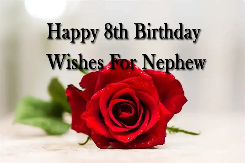 Happy 8th Birthday Wishes For Nephew