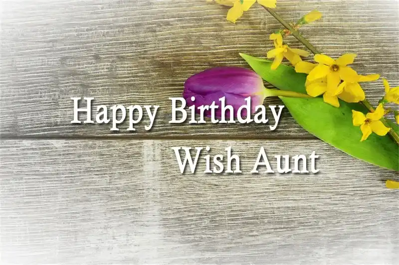 Happy Birthday Wish Aunt