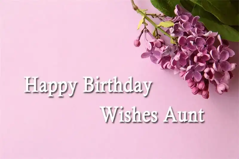 Happy Birthday Wishes Aunt