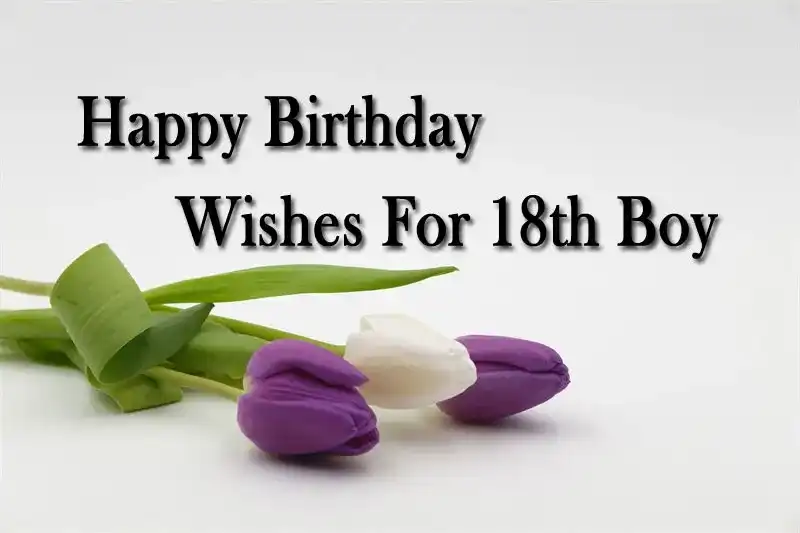 Happy Birthday Wishes For 18th Boy