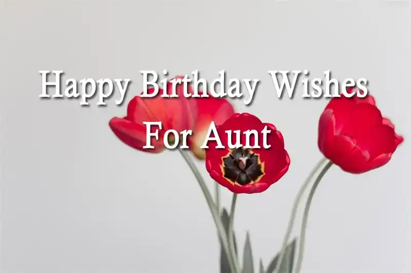 Happy Birthday Wishes For Aunt
