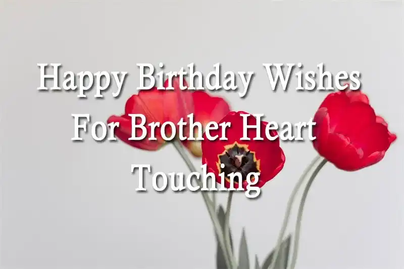 Happy Birthday Wishes For Brother Heart Touching