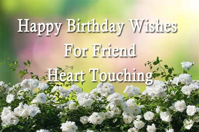 Happy Birthday Wishes For Friend Heart Touching