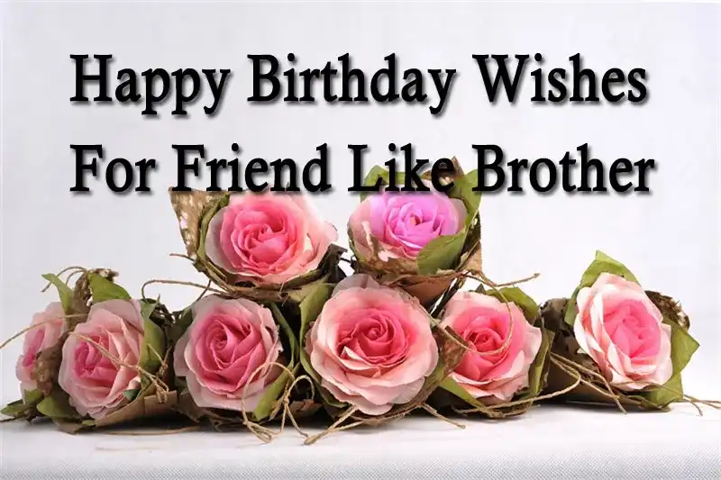 Happy Birthday Wishes For Friend Like Brother