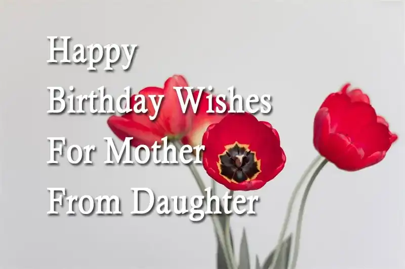 Happy Birthday Wishes For Mother From Daughter