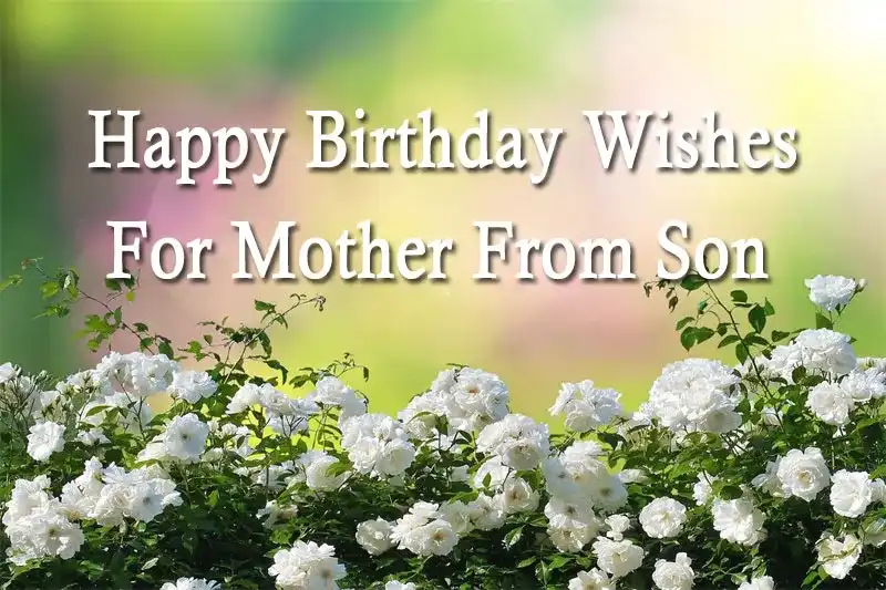 Happy Birthday Wishes For Mother From Son