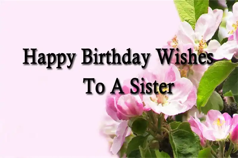 Happy Birthday Wishes To A Sister