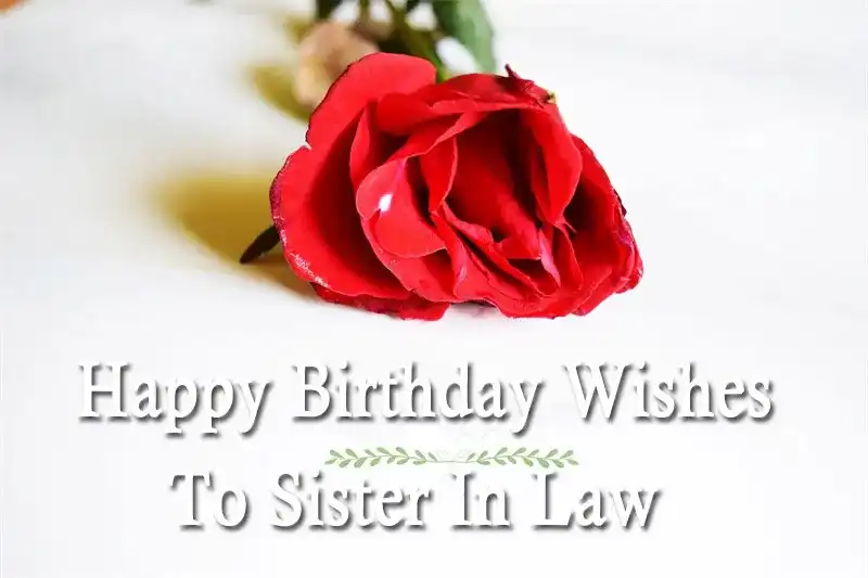 Happy Birthday Wishes To Sister In Law